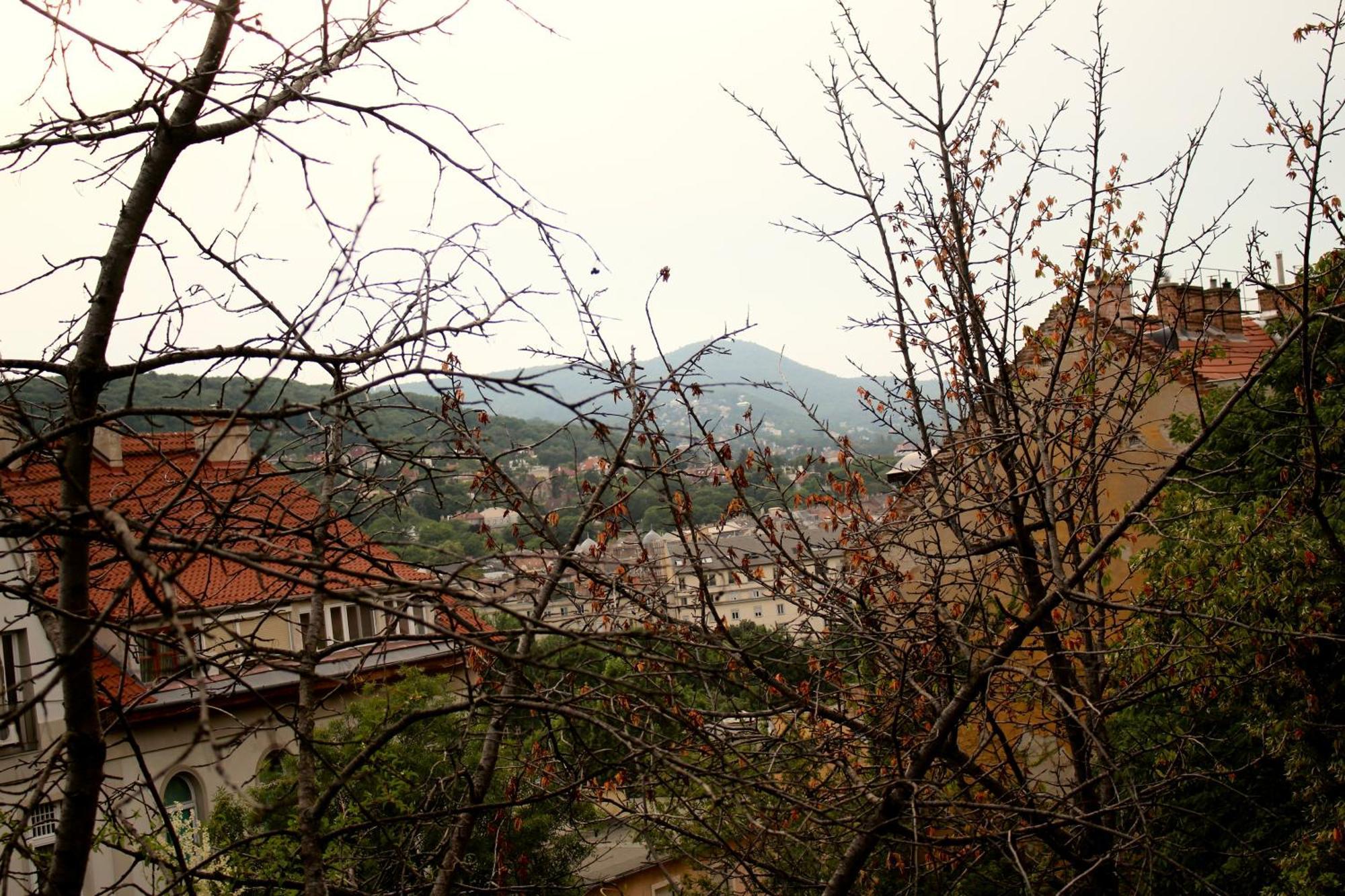 Castle Stallion Apartment บูดาเปสต์ ภายนอก รูปภาพ